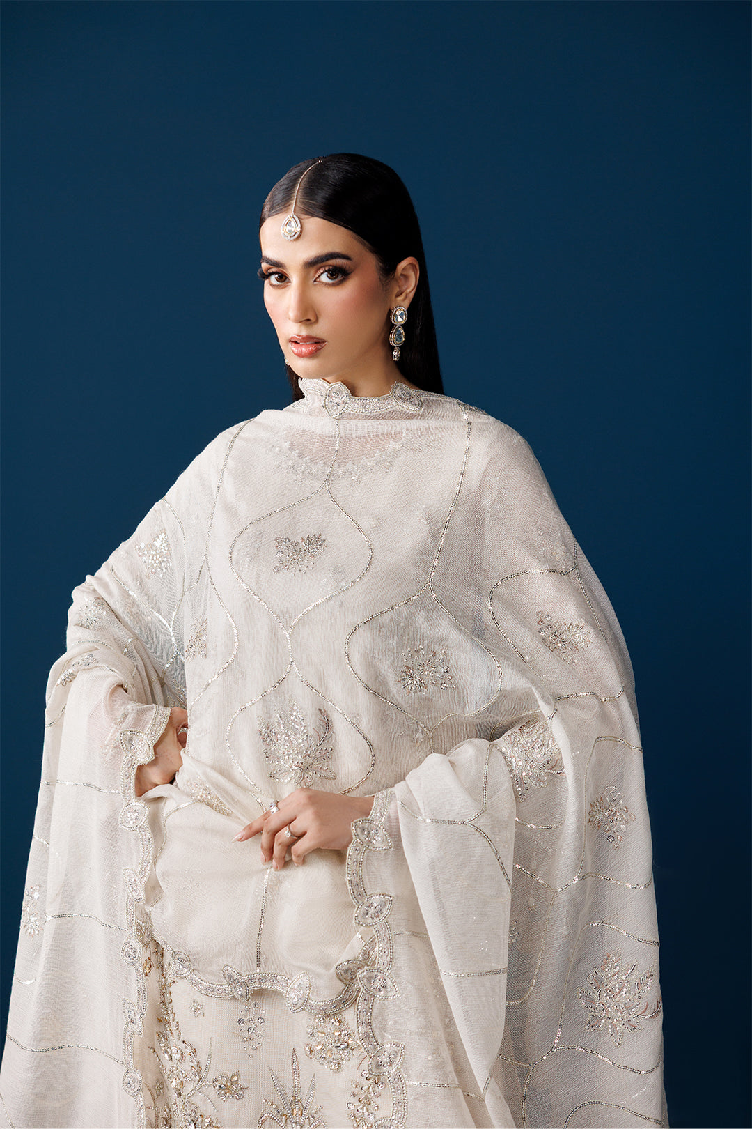 Alizeh - Af-Nhm-2279-Swan
