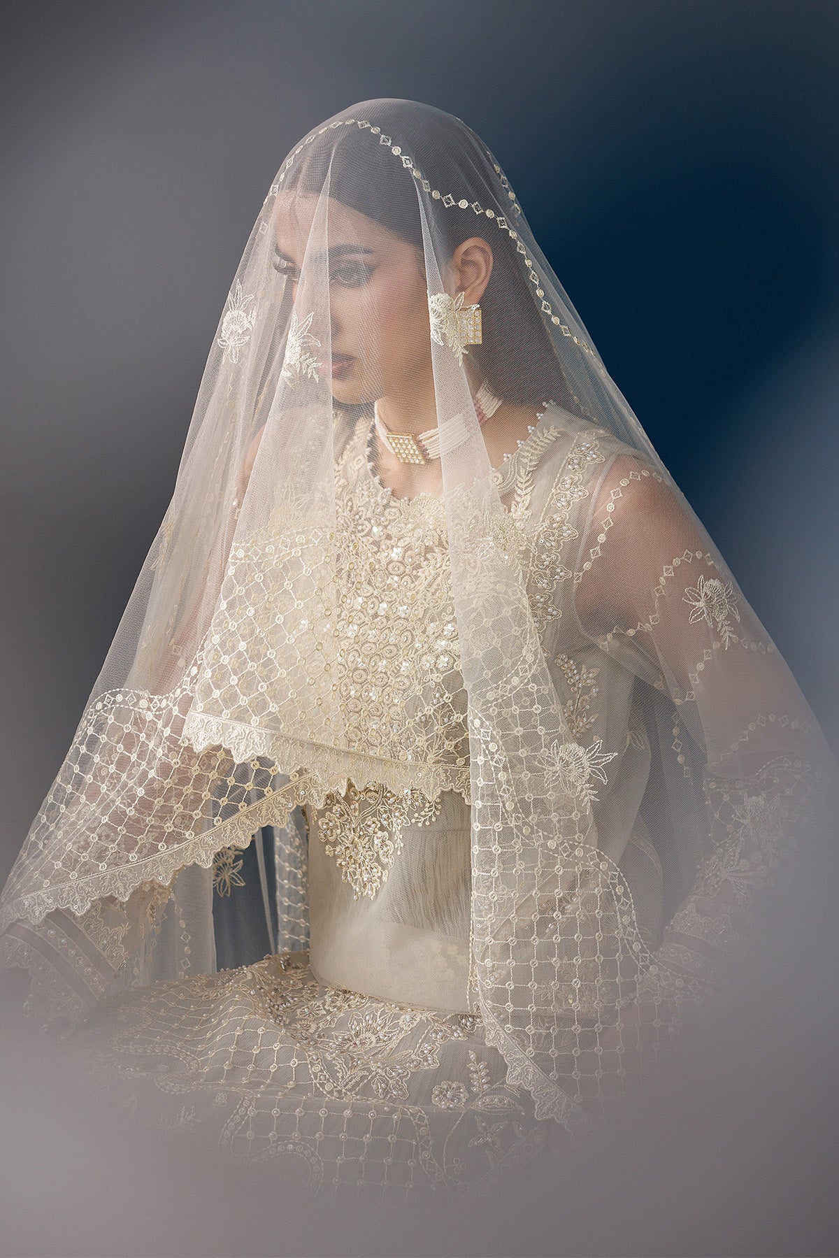 Alizeh - Af-Nhm-4056-Velor