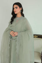 Baroque - Embroidered Chiffon SF-234