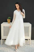 Baroque - Embroidered Chiffon PR-557