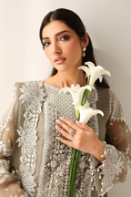 Baroque - Embroidered Chiffon PR-1155