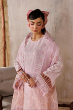 Akbar Aslam - Porcelain