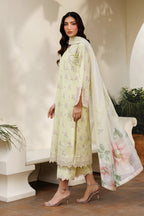 Zarif - Zl-Rtw-26 Daahr