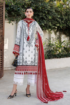 Alizeh - Af-El-7056-Kelly