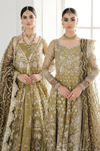 Baroque - Embroidered Net Ch10-02 Unstitched