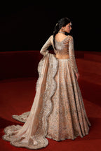 Akbar Aslam - Asteria