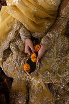 Akbar Aslam - Roshanara
