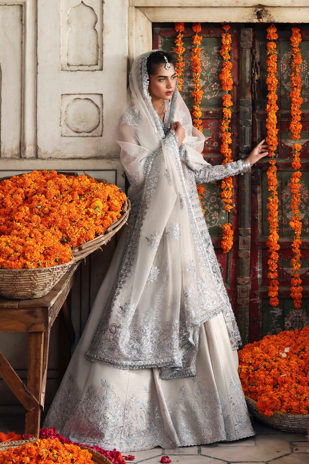 Akbar Aslam - Safina
