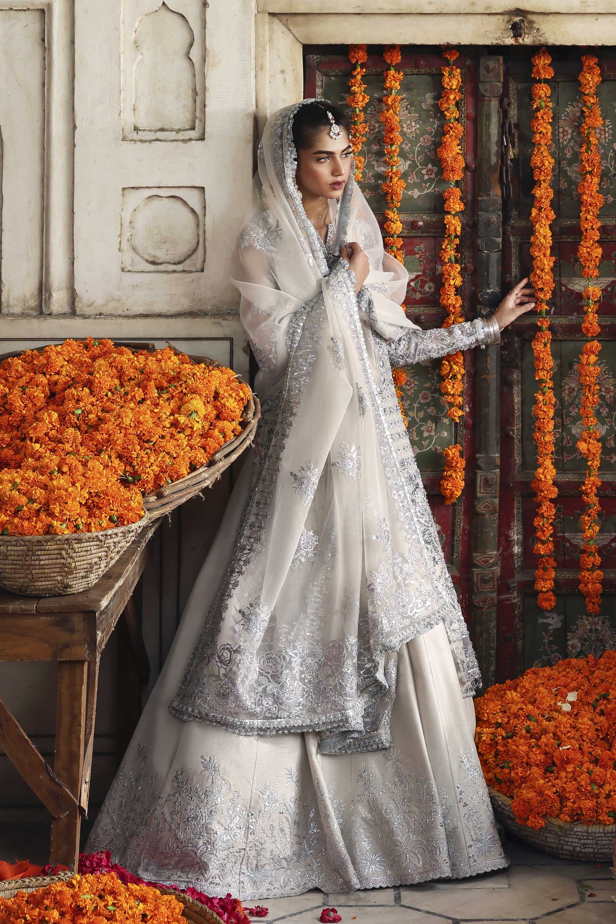 Akbar Aslam - Safina