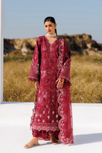 Emaan Adeel - Radiant Rose