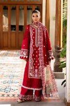 Akbar Aslam - Noeva