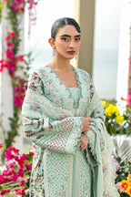 Akbar Aslam - Merlina