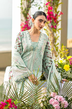 Akbar Aslam - Merlina