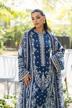 Akbar Aslam - Cielle
