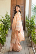 Akbar Aslam - Elin