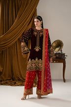 Alizeh - Af-Vlt-2280-Chashni