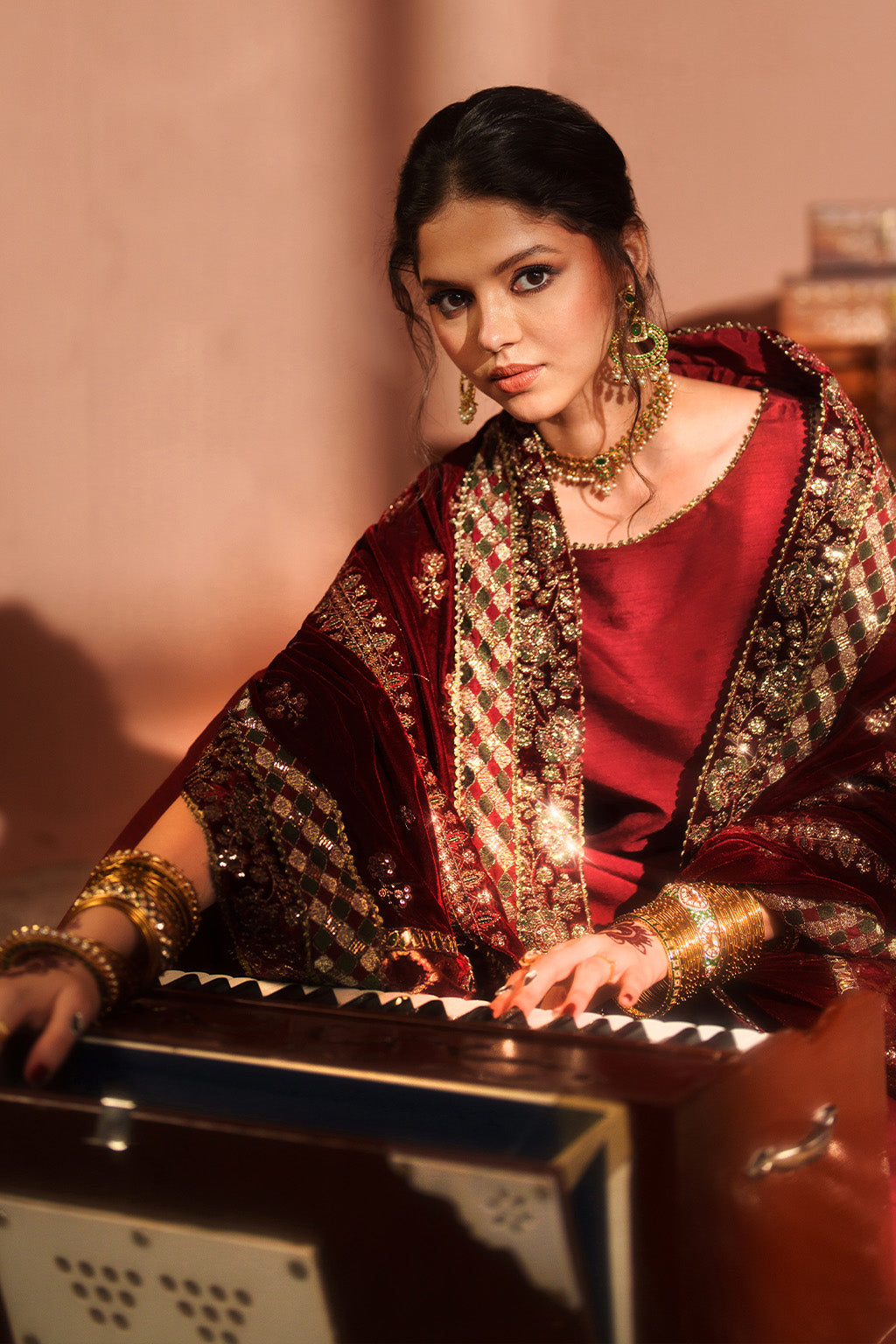 Iznik - Iv-56 Embroidered Velvet