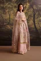 Baroque - Embroidered Net UF-4378