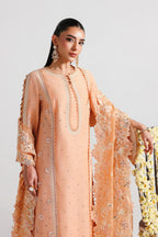 Akbar Aslam - Ravina