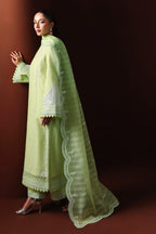 Akbar Aslam - Nayeli