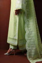 Akbar Aslam - Nayeli