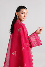 Akbar Aslam - Raniya