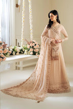 Alizeh - Af-Ps-8004-Lotus