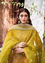 Akbar Aslam - Rohi