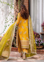 Akbar Aslam - Rohi