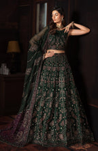 Zarif - Zrw 01 Elizabeth