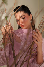 Akbar Aslam - Velour