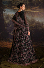 Zarif - Victoria-RTD