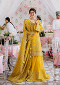 Akbar Aslam - Meena