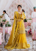 Akbar Aslam - Meena