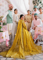 Akbar Aslam - Meena