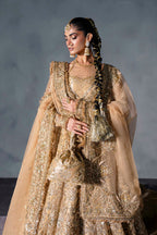 Akbar Aslam - Zarisse