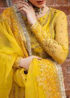 Akbar Aslam - Cailin