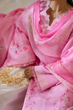 Akbar Aslam - Rosette