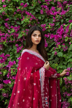Afrozeh - Humnasheen