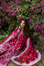 Afrozeh - Humnasheen
