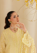 Aik Atelier - Lawn - Look B2604A