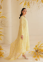 Aik Atelier - Lawn - Look B2604A